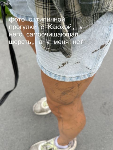 95302_story.jpg